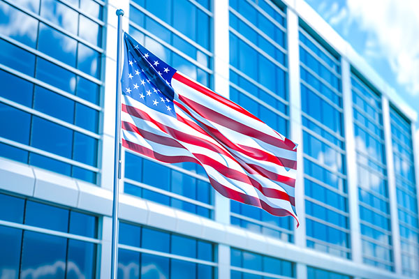 Government Critical Energy Services